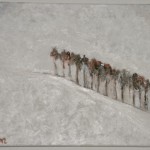 Winterbild 2012