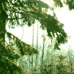 Winterbilder