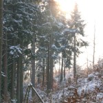 Winterbilder
