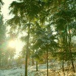 Winterbilder