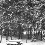 Winterbilder